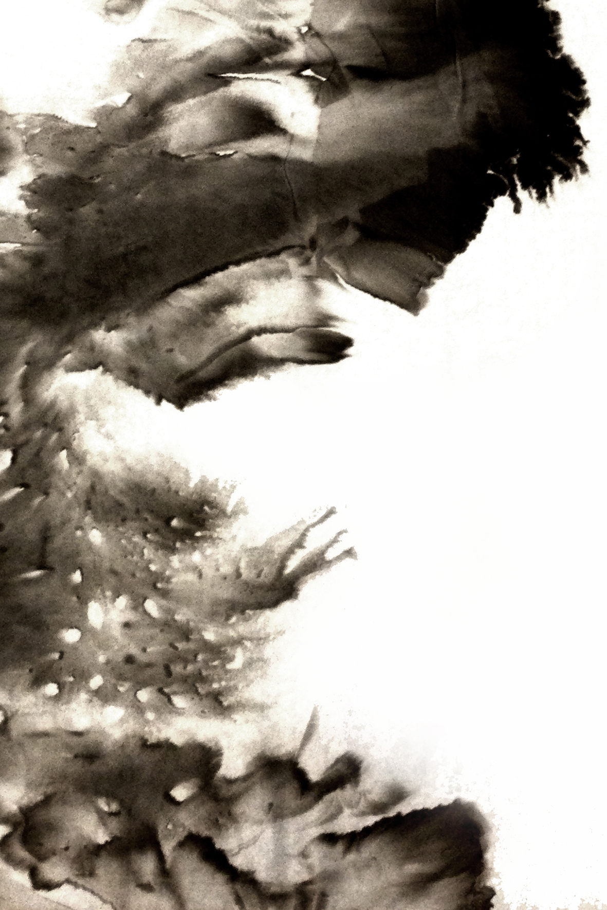 Illustration Yon Costes, 2015